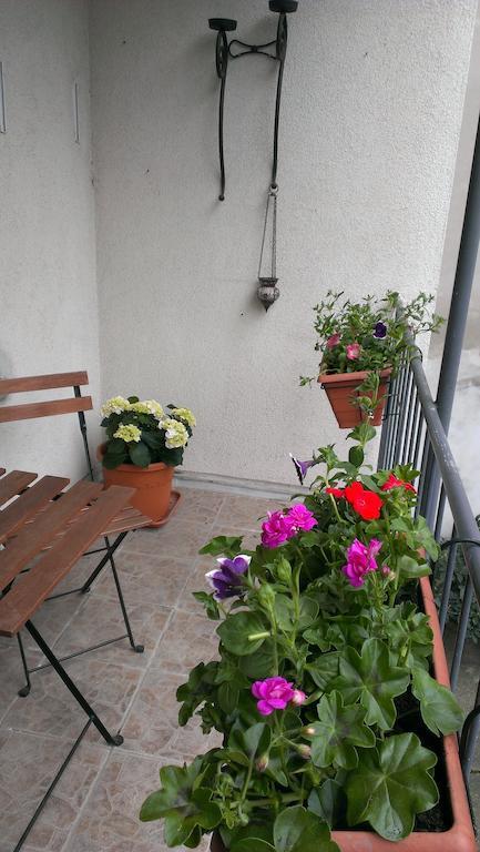 Apartment Casa Vienna